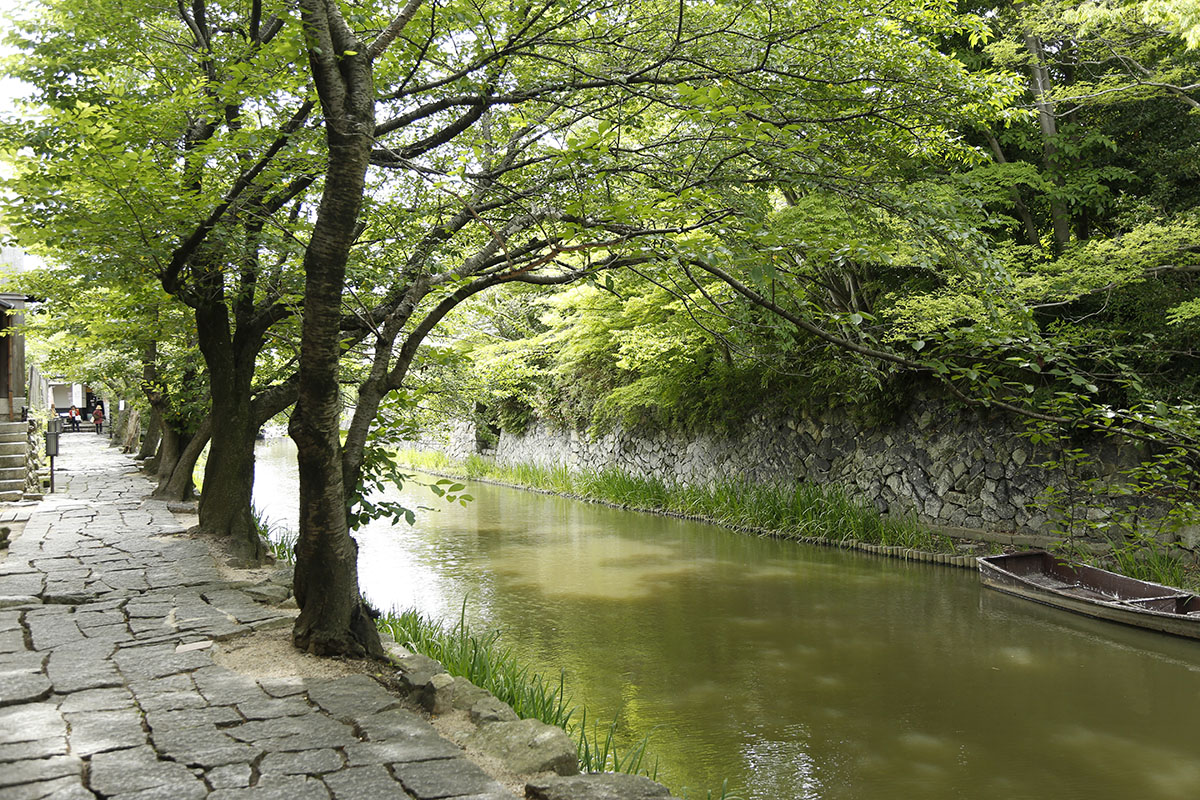 水路沿いに続く緑のトンネルが涼を感じさせます