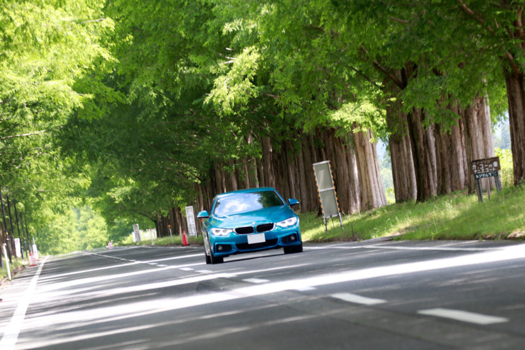 マキノ高原メタセコイア並木を走るBMW